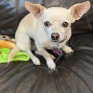 Meet your Posher, Haley